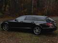 Mercedes-Benz CLS 250 CLS 250 BlueTEC 4-Matic Schwarz - thumbnail 9