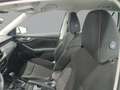 Skoda Kamiq 1.0 TSI Ambition 81kW DSG Blanco - thumbnail 15