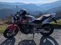 Honda Hornet CB600 F Blanco - thumbnail 1