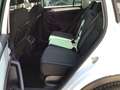 Volkswagen Tiguan 2.0TDI Advance DSG 110kW Blanc - thumbnail 12