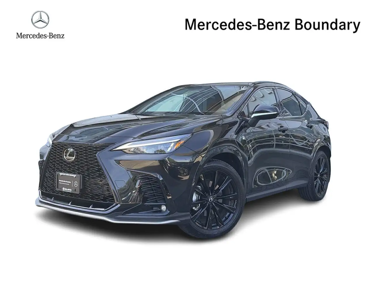 2025 Lexus NX