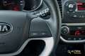 Kia Picanto 1.0 CVVT First Edition | *1E EIGENAAR* Noir - thumbnail 15