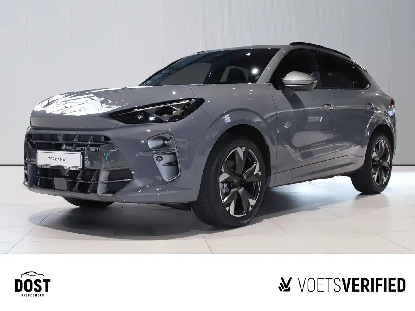 CUPRA Terramar 1.5 eTSI DSG AHK+NAVI+LED+ACC Grau - 1