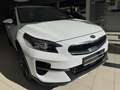 Kia XCeed Xceed 1.6 Plug-in Hybrid Spirit (EURO 6d) Weiß - thumbnail 6