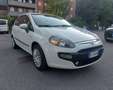Fiat Punto Evo DISTRIBUZIONE GIA' FATTA Bianco - thumbnail 1