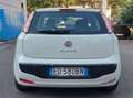 Fiat Punto Evo DISTRIBUZIONE GIA' FATTA Bianco - thumbnail 6