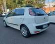 Fiat Punto Evo DISTRIBUZIONE GIA' FATTA Bianco - thumbnail 5
