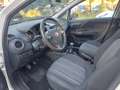 Fiat Punto Evo DISTRIBUZIONE GIA' FATTA Bianco - thumbnail 8