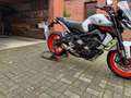 Yamaha MT-09 RN43 ICE FLOUE Grau - thumbnail 3