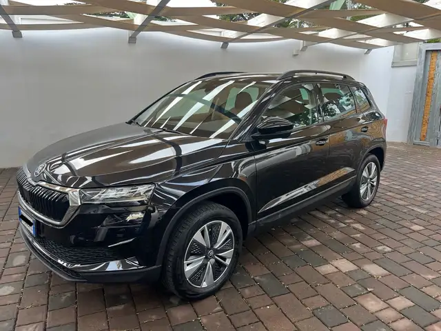 Skoda Karoq Karoq 2022 2.0 tdi evo Executive 4x4 150cv dsg