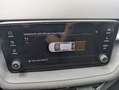 Skoda Fabia 1.0 MPI EVO 80 CV Selection Grigio - thumbnail 21