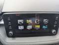 Skoda Fabia 1.0 MPI EVO 80 CV Selection Grigio - thumbnail 20