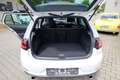 Volkswagen Golf VII 2.0 TSI GTI Performance/ACC/19Zoll/Pano Weiß - thumbnail 15