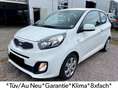 Kia Picanto Edition 7 *Klima*Tüv Neu*Garantie*Top* Alb - thumbnail 1