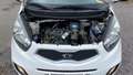 Kia Picanto Edition 7 *Klima*Tüv Neu*Garantie*Top* Alb - thumbnail 6