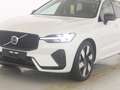 Volvo XC60 T8 AWD Plus Dark ACC STANDHZ 360° PANO Weiß - thumbnail 5