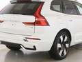 Volvo XC60 T8 AWD Plus Dark ACC STANDHZ 360° PANO Weiß - thumbnail 6