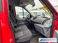 Ford Transit Kombi 350 L3 2.2 TDCi DPF *4375 *KLIMA *export Czerwony - thumbnail 12
