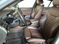 BMW X4 X4 xDrive20d 48V Msport Grigio - thumbnail 9