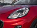 Ford Puma Titanium Rouge - thumbnail 5