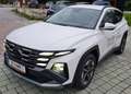 Hyundai TUCSON 1,6 T-GDI 48V 4WD Go! Plus DCT Bianco - thumbnail 2