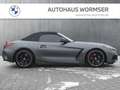 BMW Z4 M40i   Head-Up HK HiFi DAB LED WLAN RFK Shz Grau - thumbnail 9