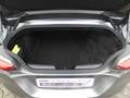 BMW Z4 M40i   Head-Up HK HiFi DAB LED WLAN RFK Shz Grau - thumbnail 29