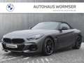 BMW Z4 M40i   Head-Up HK HiFi DAB LED WLAN RFK Shz Grau - thumbnail 4