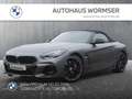 BMW Z4 M40i   Head-Up HK HiFi DAB LED WLAN RFK Shz Grau - thumbnail 1