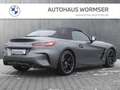 BMW Z4 M40i   Head-Up HK HiFi DAB LED WLAN RFK Shz Grau - thumbnail 8