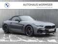 BMW Z4 M40i   Head-Up HK HiFi DAB LED WLAN RFK Shz Grau - thumbnail 10