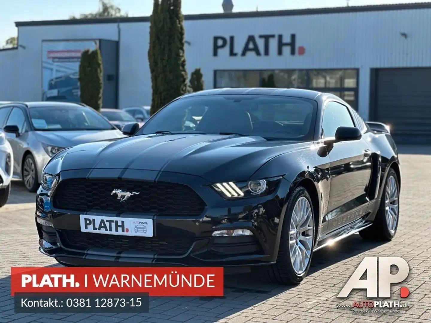 Ford Mustang USA Shelby Optik Negro - 1