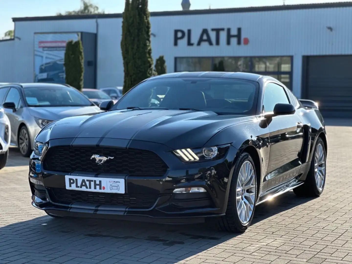 Ford Mustang USA Shelby Optik Negro - 2