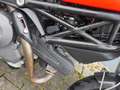 Ducati Monster 696 - 35kW - 2008 - thumbnail 13