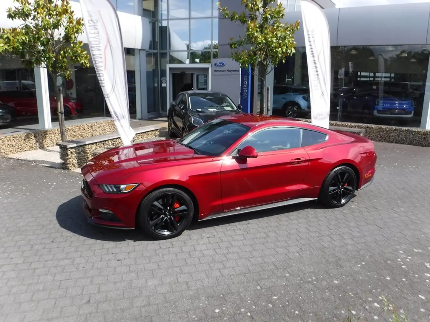 Ford Mustang EcoBoost AUT Rot - 1