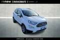 Ford EcoSport 1.5 ecoblue Plus s&s 100cv my19 Bianco - thumbnail 2