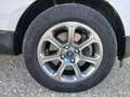 Ford EcoSport 1.5 ecoblue Plus s&s 100cv my19 Bianco - thumbnail 13