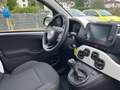 Fiat Panda Pandina Cross Red - thumbnail 5
