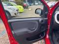 Fiat Panda Pandina Cross Red - thumbnail 4