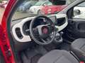Fiat Panda Pandina Cross Red - thumbnail 11