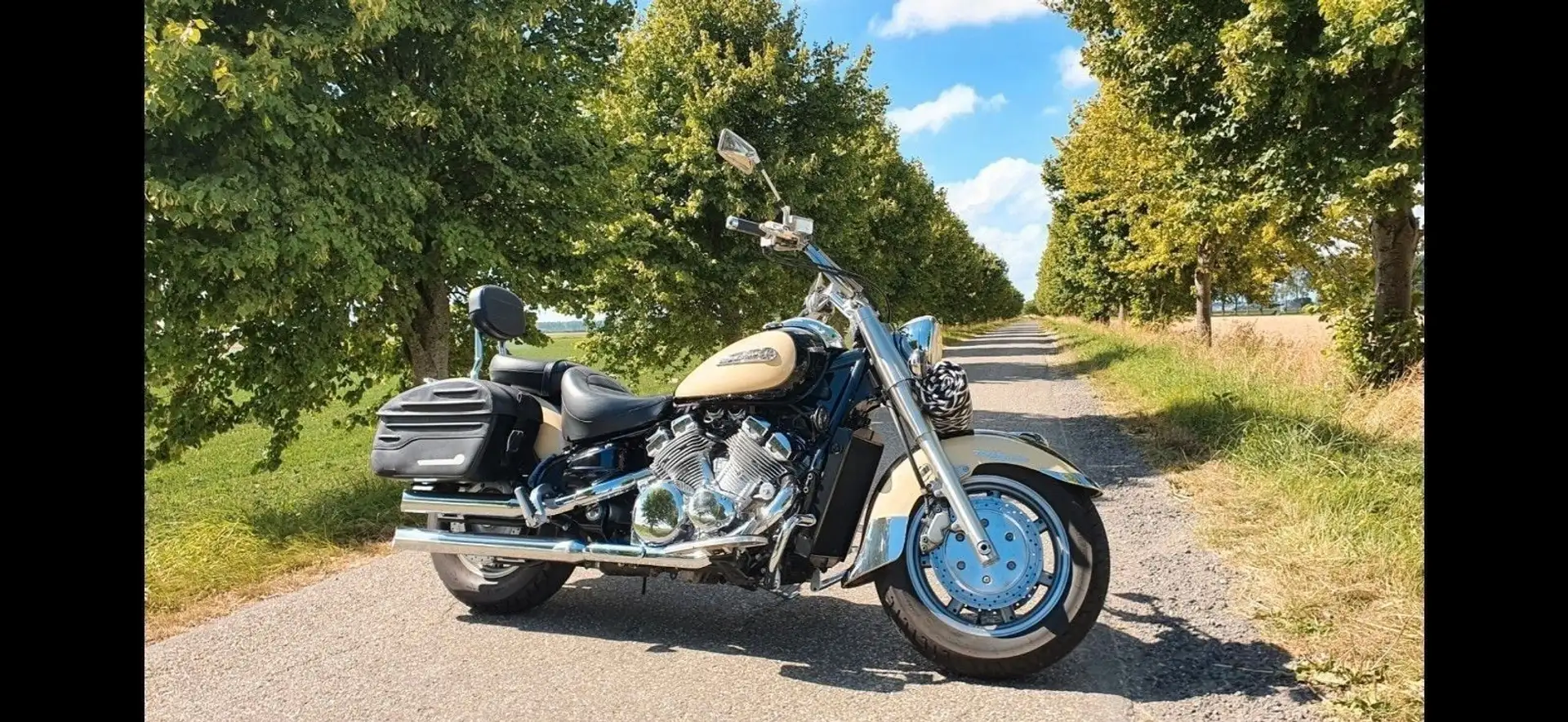 Yamaha XVZ 1300 Bej - 1