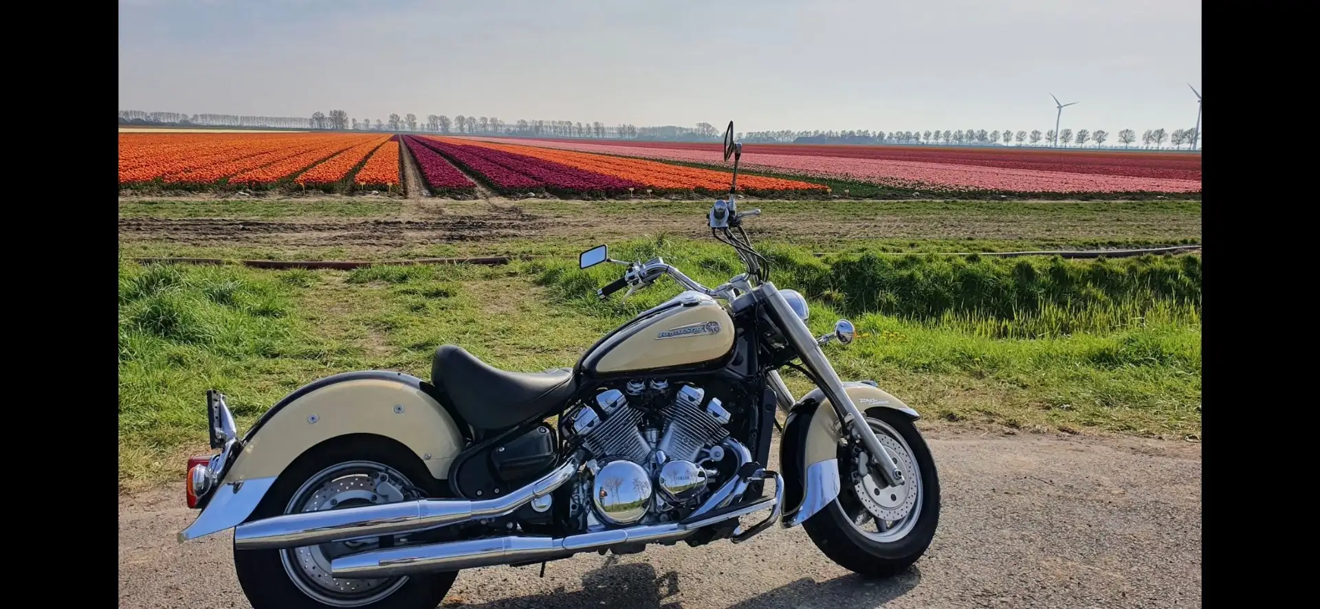 Yamaha XVZ 1300 Bej - 2