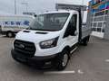 Ford Transit 2.0 Ecoblue EK Pritsche 350 L3 Trend LAGERBONUS Weiß - thumbnail 1