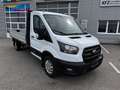 Ford Transit 2.0 Ecoblue EK Pritsche 350 L3 Trend LAGERBONUS Weiß - thumbnail 3