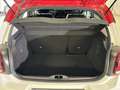 Citroen C3 PureTech 83 S&S Shine Bianco - thumbnail 11