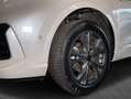 Ford Kuga 2.5 Duratec PHEV ST-LINE X Blanc - thumbnail 6