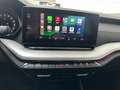 Skoda Octavia 2,0 TDI Ambition DSG *NEUES MODELL * Grau - thumbnail 19