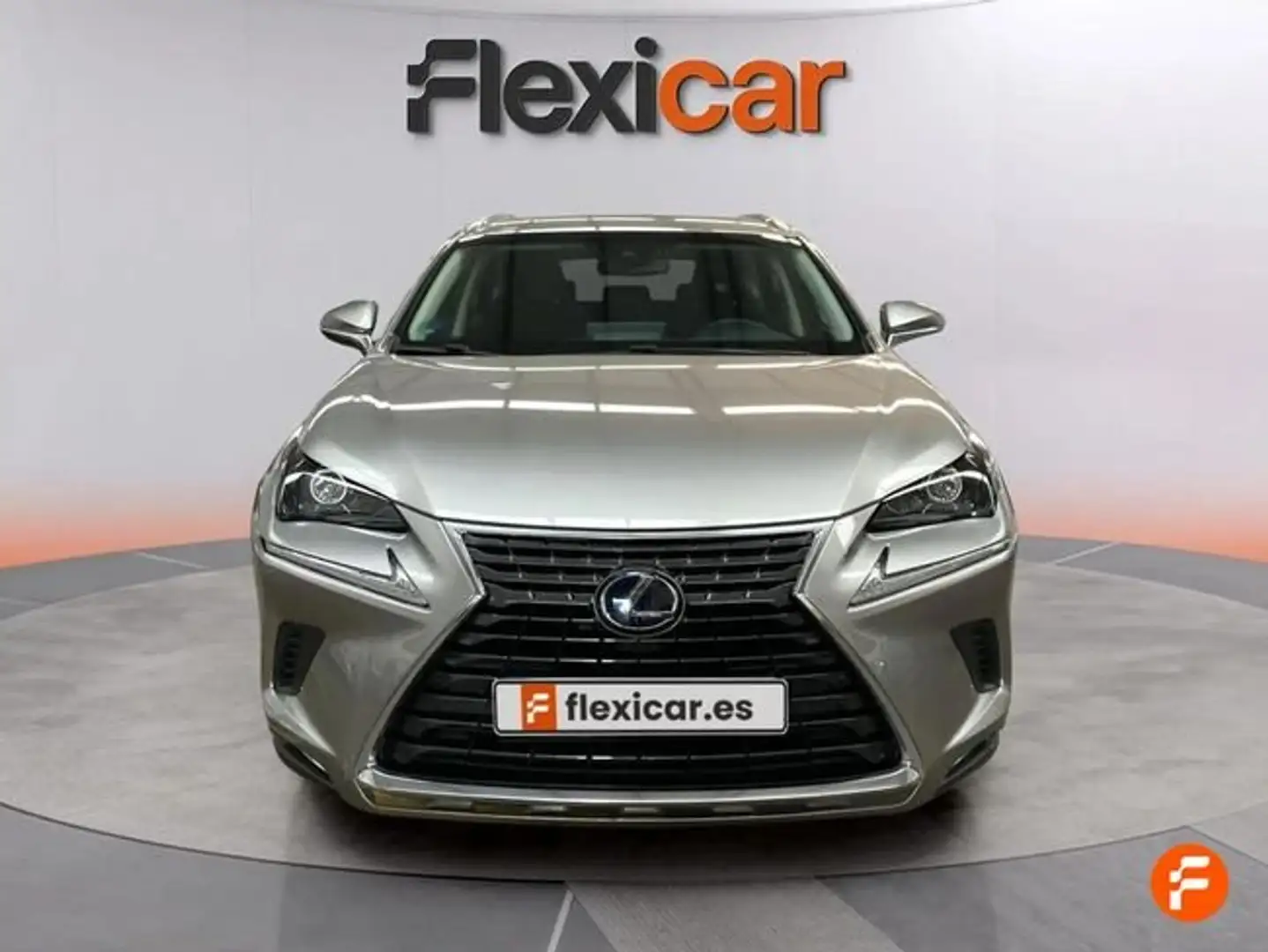 Lexus NX 300 300h Business Navigation 2WD Gris - 2
