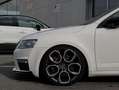 Skoda Octavia Octavia Combi RS 2,0 TSI Green tec DSG Green Weiß - thumbnail 2