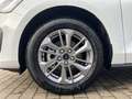 Ford Focus 1.0 TITANIUM STYLE Weiß - thumbnail 7